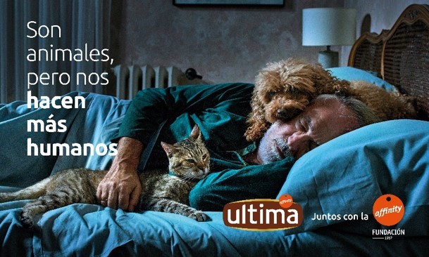 Hola Perros', la respuesta de Ultima Gatos a El Perro Verde, Campañas